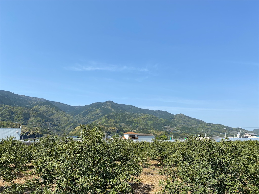 f:id:nobu3072:20210420154217j:image