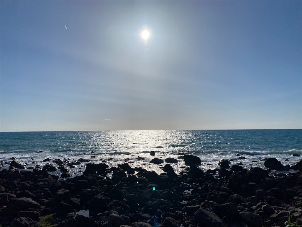 f:id:nobu3072:20210426143646j:image f:id:nobu3072:20210426143646j:image