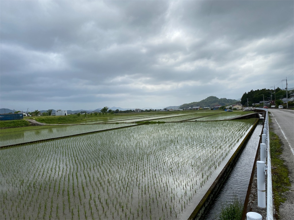 f:id:nobu3072:20210501195153j:image f:id:nobu3072:20210501195153j:image