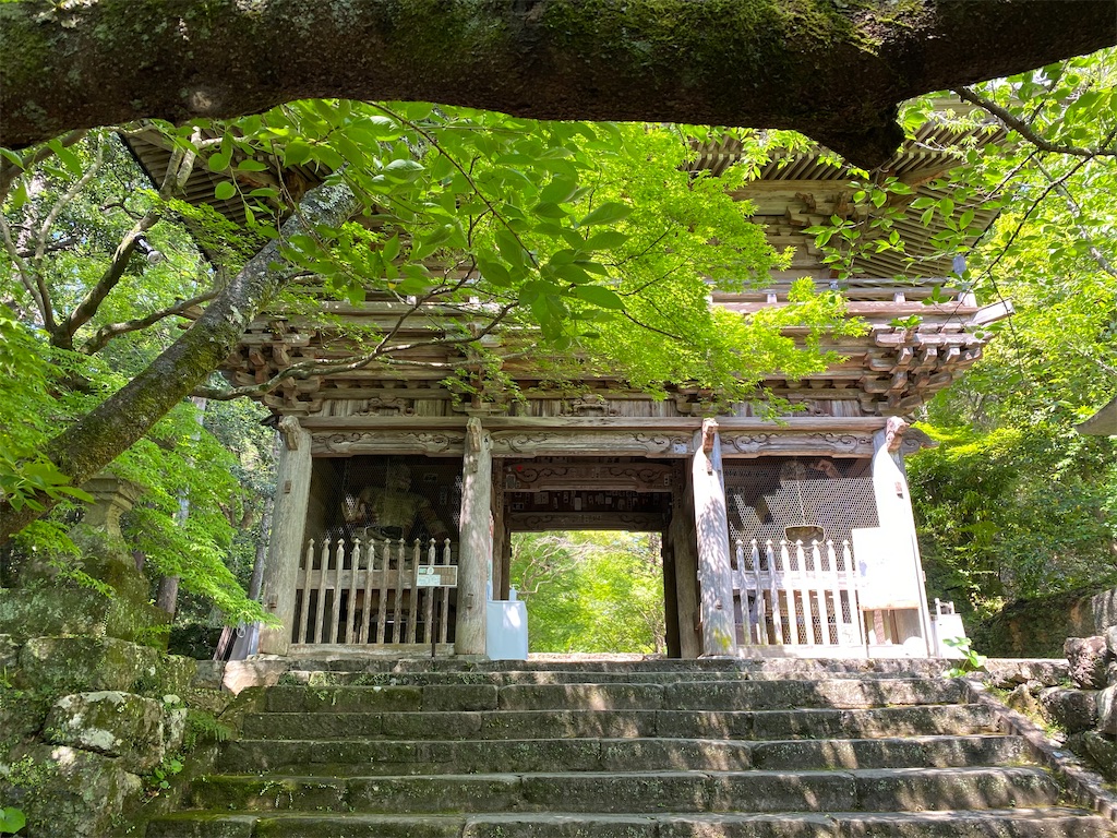 f:id:nobu3072:20210502174203j:image