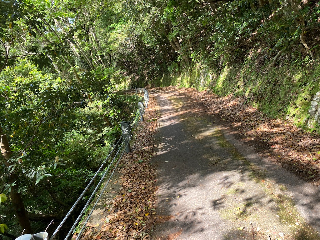 f:id:nobu3072:20210510171620j:image f:id:nobu3072:20210510171620j:image