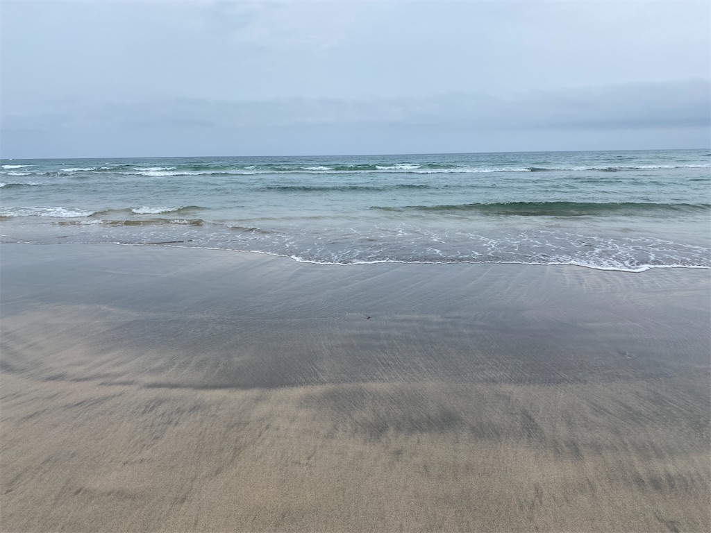 f:id:nobu3072:20210511161614j:image f:id:nobu3072:20210511161614j:image