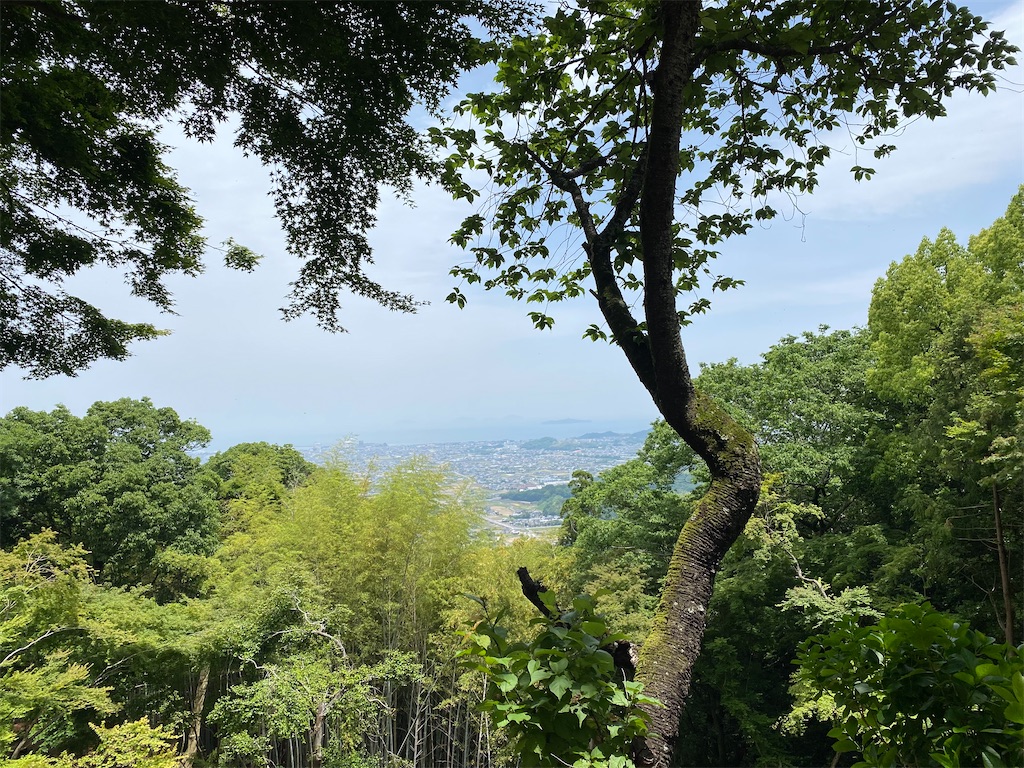f:id:nobu3072:20210525185322j:image