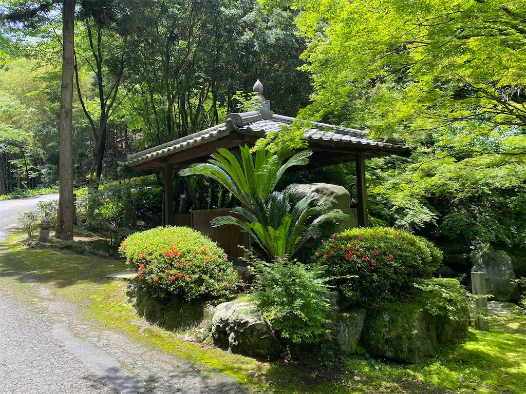 f:id:nobu3072:20210525185428j:image