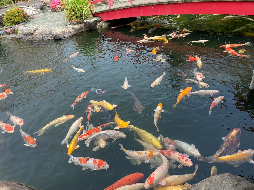f:id:nobu3072:20210526165535j:image