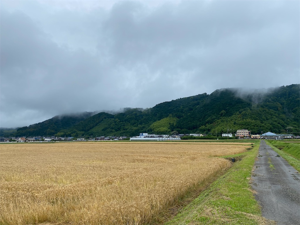f:id:nobu3072:20210527123403j:image