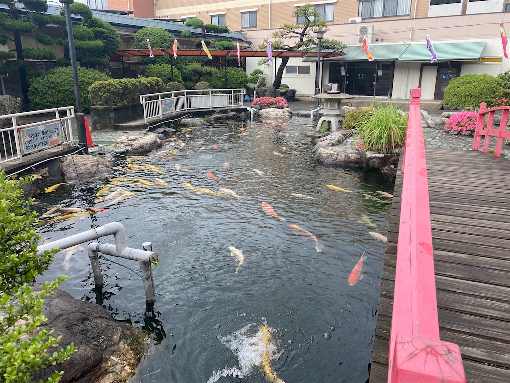 f:id:nobu3072:20210527135547j:image