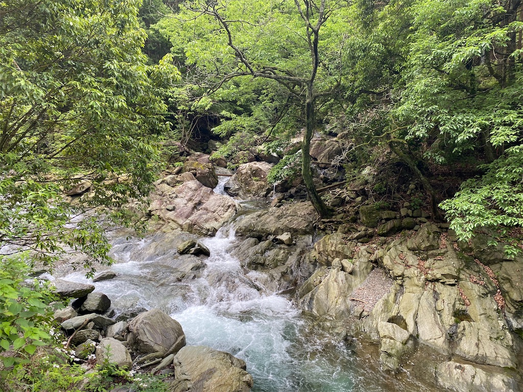 f:id:nobu3072:20210528155729j:image f:id:nobu3072:20210528155729j:image