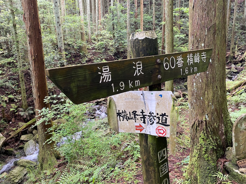 f:id:nobu3072:20210528162300j:image f:id:nobu3072:20210528162300j:image