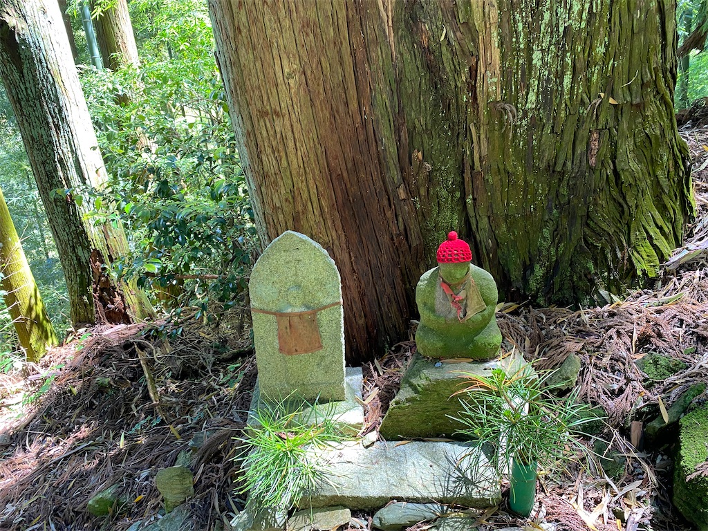 f:id:nobu3072:20210528162702j:image f:id:nobu3072:20210528162702j:image