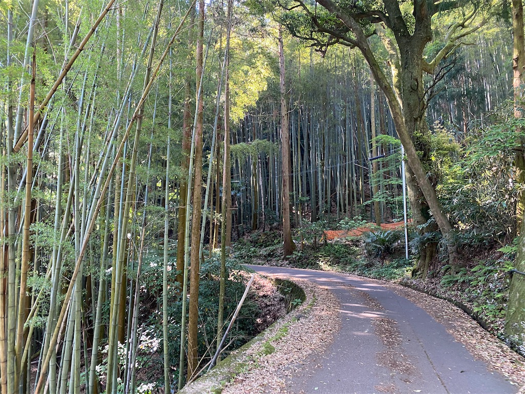 f:id:nobu3072:20210531163142j:image f:id:nobu3072:20210531163142j:image