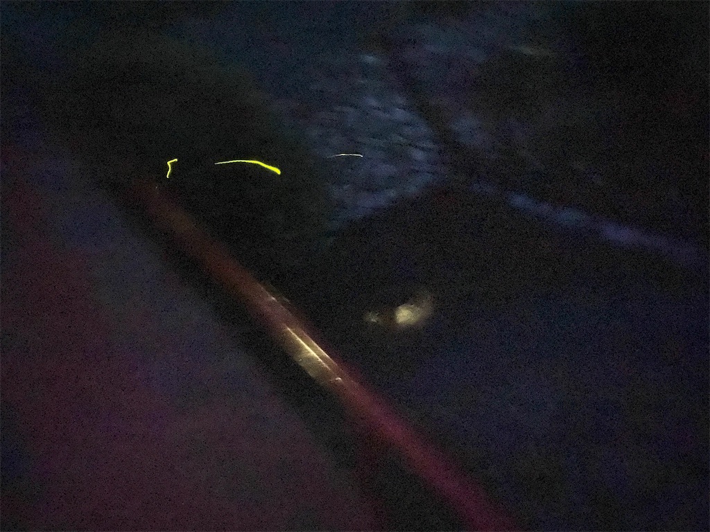 f:id:nobu3072:20210531195828j:image f:id:nobu3072:20210531195828j:image