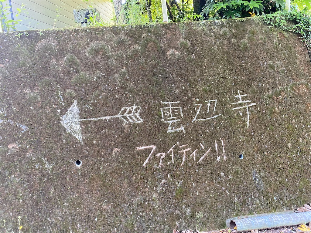 f:id:nobu3072:20210601170230j:image f:id:nobu3072:20210601170230j:image