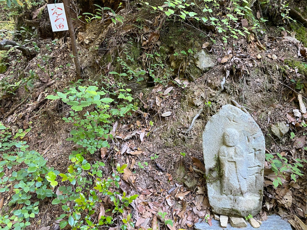 f:id:nobu3072:20210601170643j:image f:id:nobu3072:20210601170643j:image