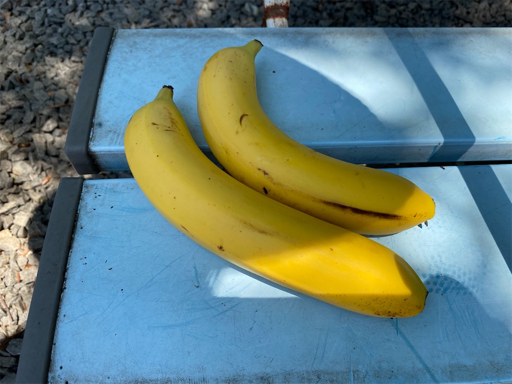 f:id:nobu3072:20210601173534j:image f:id:nobu3072:20210601173534j:image