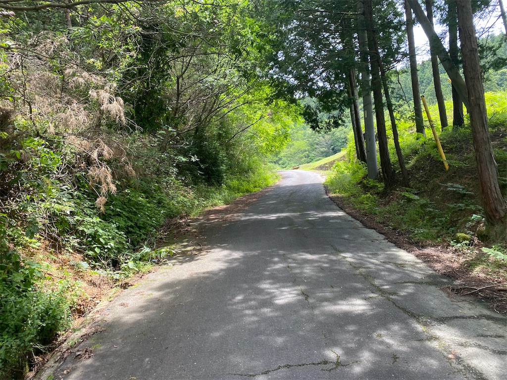 f:id:nobu3072:20210607153425j:image