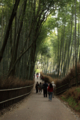 [KYOTO]