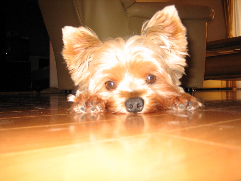 f:id:nobu4g63:20190906010811j:plain