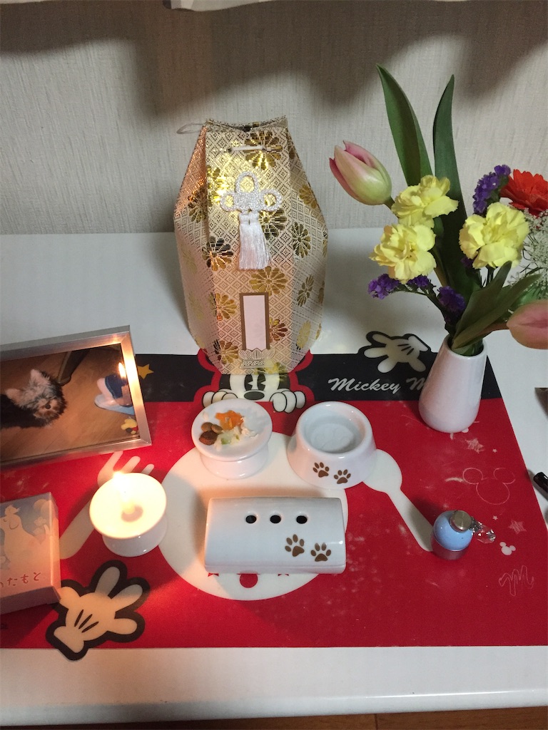 f:id:nobu4g63:20191208235430j:image