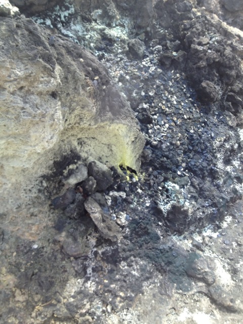 f:id:nobu_k1983:20120501122323j:image