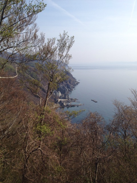 f:id:nobu_k1983:20120501162446j:image