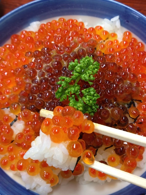 f:id:nobu_k1983:20120502071127j:image