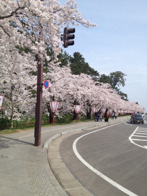 f:id:nobu_k1983:20120502092000j:image