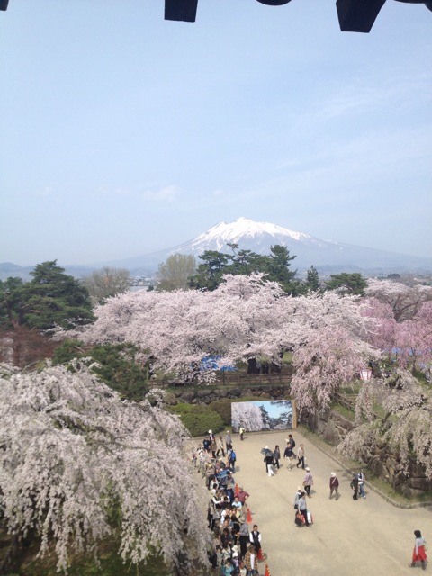 f:id:nobu_k1983:20120502095743j:image