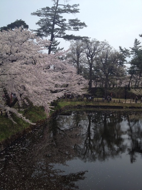 f:id:nobu_k1983:20120502101727j:image