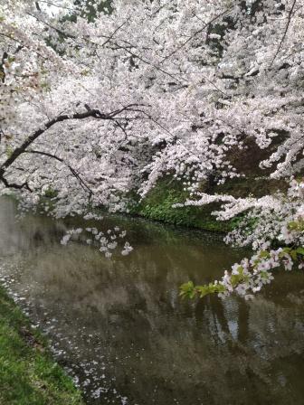 f:id:nobu_k1983:20120502103603j:image