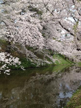 f:id:nobu_k1983:20120502103622j:image
