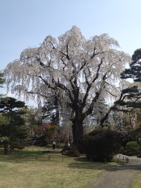 f:id:nobu_k1983:20120502131208j:image