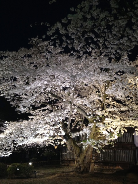 f:id:nobu_k1983:20120502190945j:image