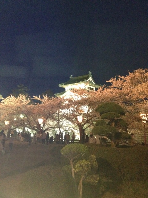 f:id:nobu_k1983:20120502191059j:image
