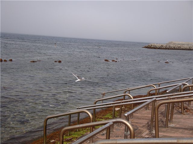 f:id:nobu_k1983:20120514235153p:image