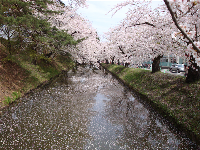 f:id:nobu_k1983:20120515003144p:image