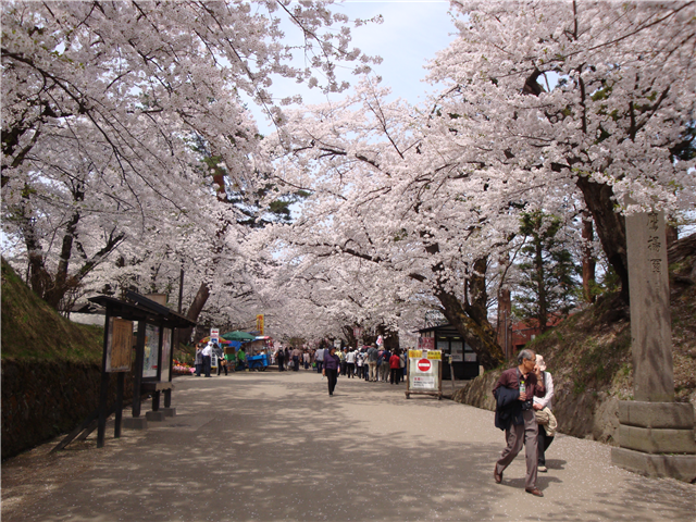 f:id:nobu_k1983:20120515003147p:image