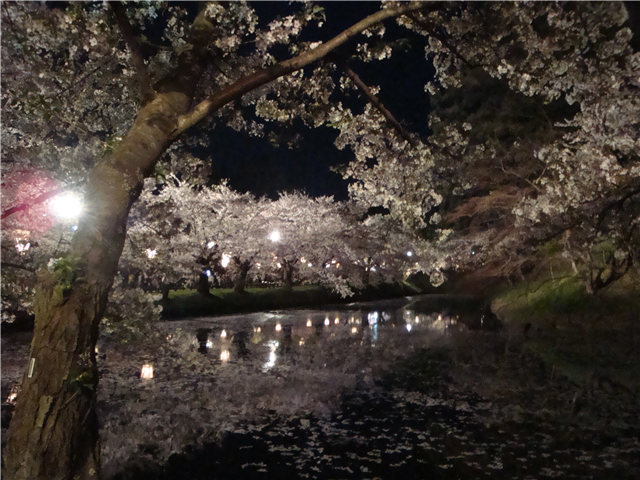f:id:nobu_k1983:20120515003215p:image