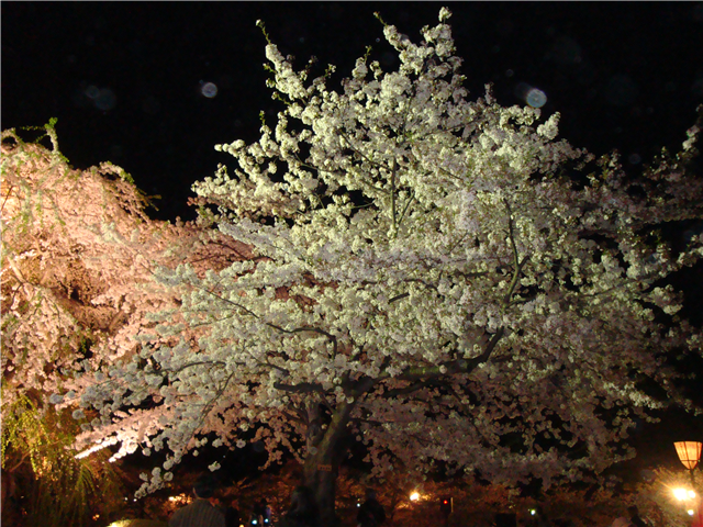 f:id:nobu_k1983:20120515003221p:image