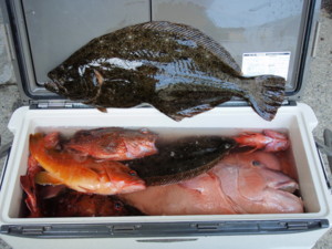 f:id:nobu_nobu:20090423131043j:image