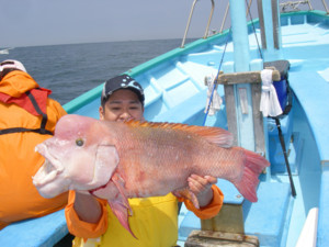 f:id:nobu_nobu:20090426001419j:image
