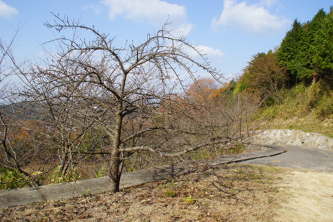 f:id:nobubachanpart3:20151227142811j:image f:id:nobubachanpart3:20151227142811j:image