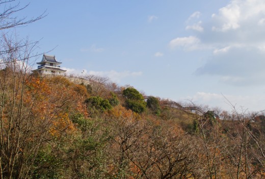 f:id:nobubachanpart3:20151227172818j:image f:id:nobubachanpart3:20151227172818j:image