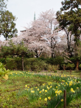 f:id:nobubachanpart3:20170131222407j:image f:id:nobubachanpart3:20170131222407j:image
