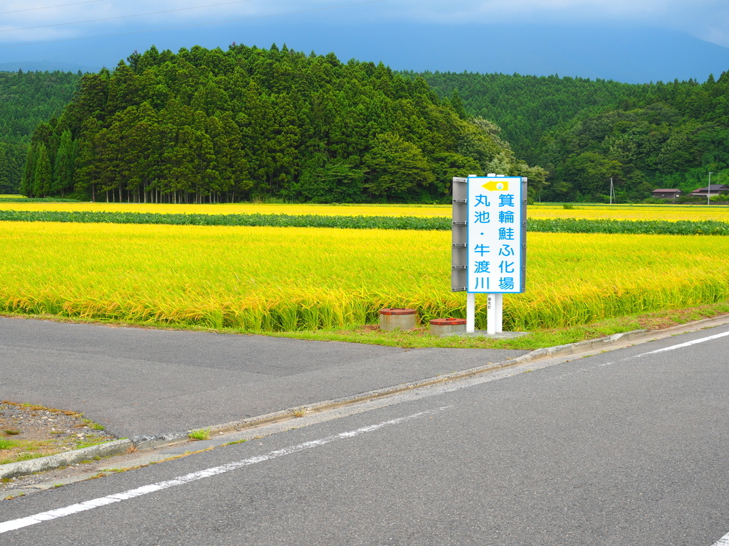 f:id:nobuburi:20181029180843j:plain