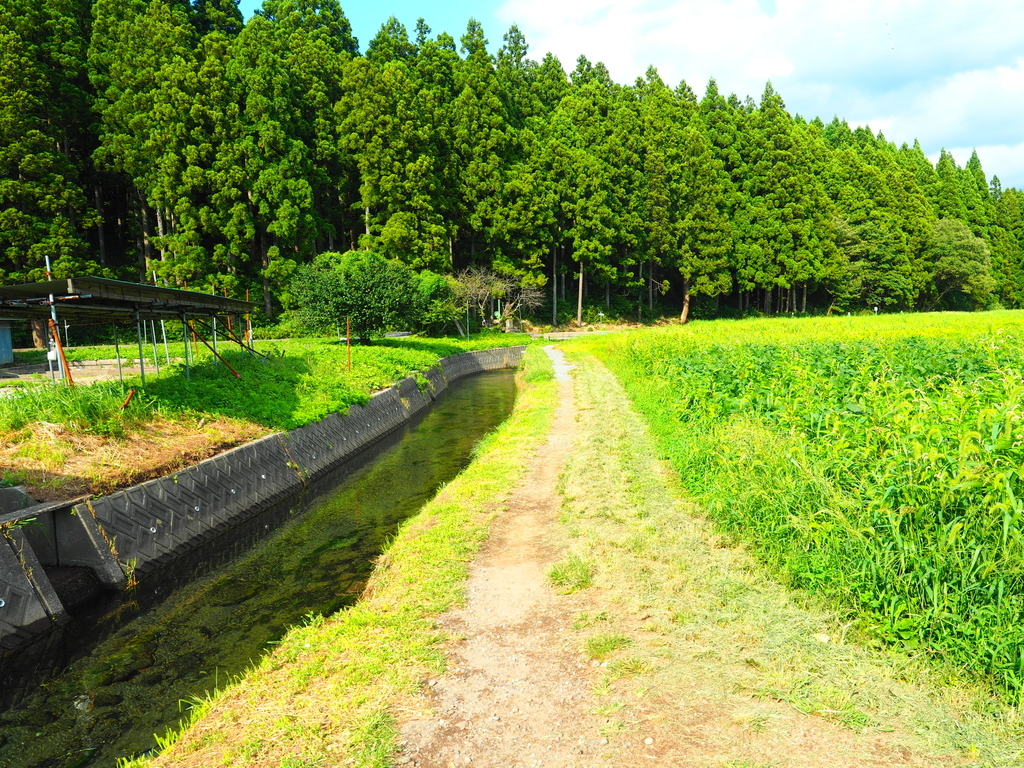f:id:nobuburi:20181029182945j:plain