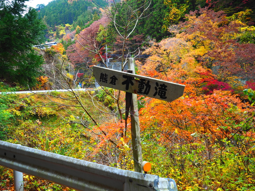 f:id:nobuburi:20190220212710j:plain f:id:nobuburi:20190220212710j:plain