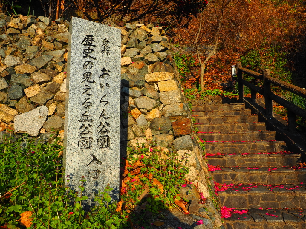 f:id:nobuburi:20190228204803j:plain f:id:nobuburi:20190228204803j:plain