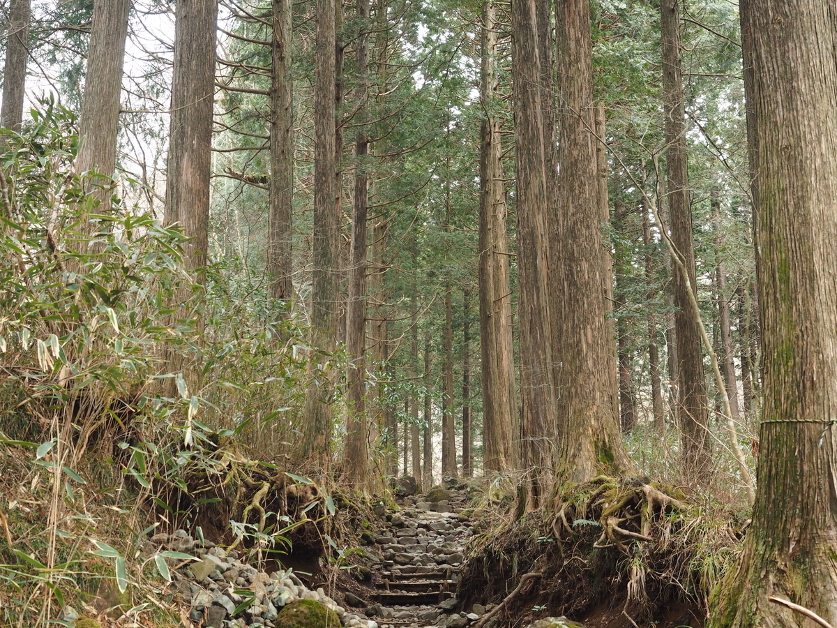 f:id:nobuburi:20190325060349j:plain