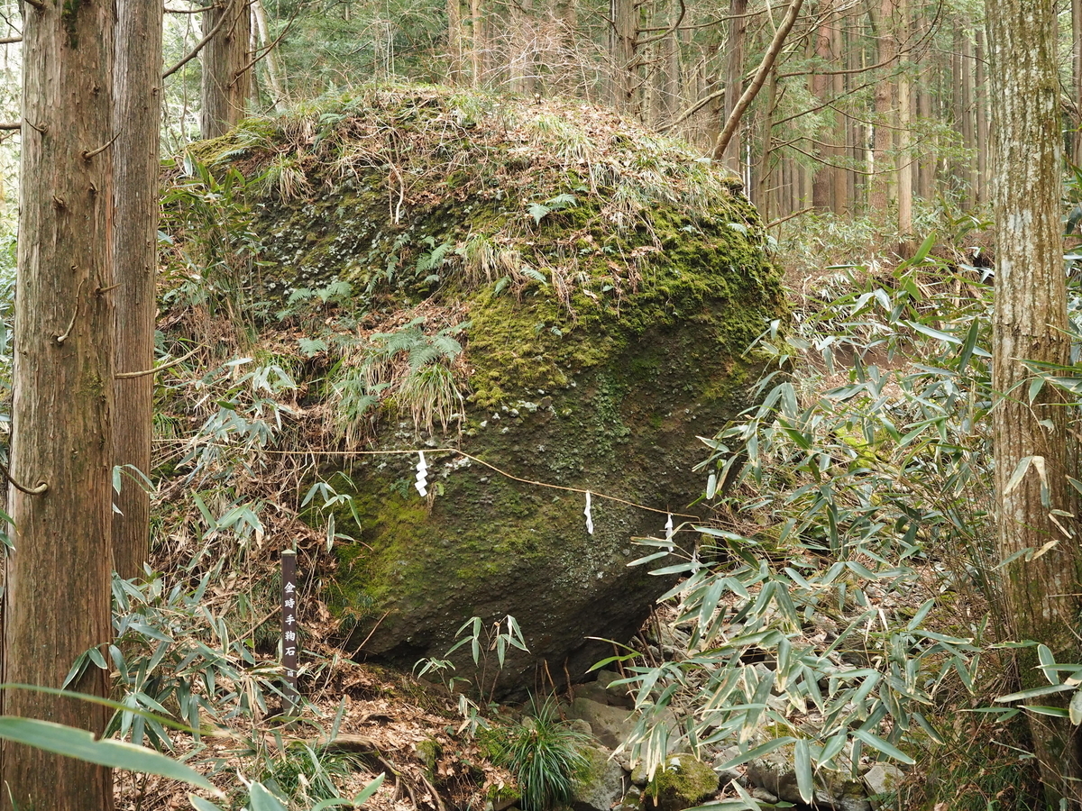 f:id:nobuburi:20190325063429j:plain